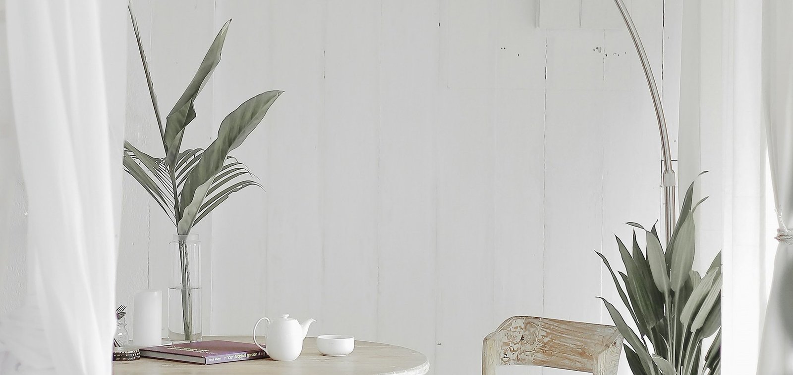 The studio dining room: arches, pale timber and plants
